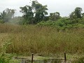 Pantanal, uitzicht onderweg