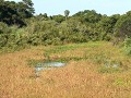 Pantanal, toch een stukje onder water
