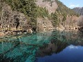 Jiuzhaigou NP, Five-flower lake en omgeving