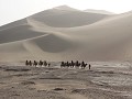 Dunhuang, Singing Sand dunes, kamelen op stap