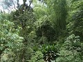 'Jardín Botánico del Quindío'