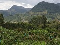 Jardín, koffie- en bananenplantages onderweg naar 