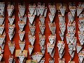 Kyoto, Fushimi Inari Shrine, wensbriefjes