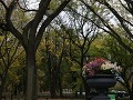 New York City, Manhattan - Central Park
