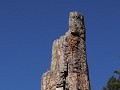 Yellowstone NP - Petrified Tree
