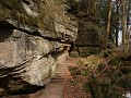 Cuyahoga Valley NP - Ledges Trail