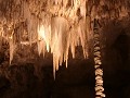 Carlsbad Caverns NP 
