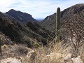 Sabino Canyon, Phoneline Trail