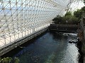 Oracle, Biosphere 2, de zee