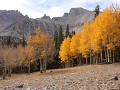 Great Basin NP, herfstkleuren langs Alpine Lakes L