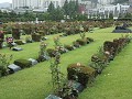 Busan, United Nations Memorial Cemetery and Peace 
