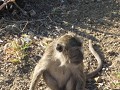 NAAST ONS ANDERE TOERIST OP KELIMUTU