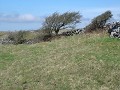 The Burren : de wind komt van 1 kant ?