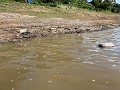 Helaas ook veel afval in de Mekong…