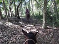 DSCN2364