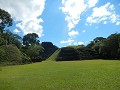 DSCN2366