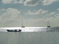 DSCN2441