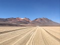 Op weg door Desierto de Dali