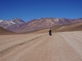 Op weg door Desierto de Dali