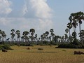 We komen echt wel mooie landschappen tegen, soms e