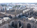 Cathedral roof, taken from La Giralda