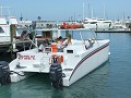 Going on a dolpin watch and snorkeling tour