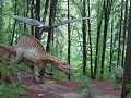 kindertopper: dinopark in Rasnov