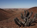 DAGTRIP PUROS (SKELETON COAST VIEUWPOINT)
