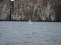 ...  Wat is dat daar?  Al dat opspattende water!..