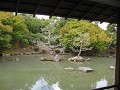 Barts' favoriete tuin; de Japanse versie,...