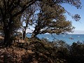 Noirmoutier