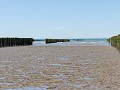 Moules de Bouchot in Planguenoual.