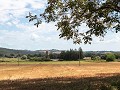 Sovicille