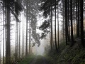 IMG 0062
