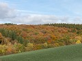 IMG 0083