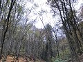 IMG 0663