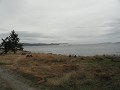 DSC02144