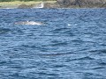 IMG 0380