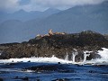 IMG 0408
