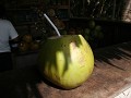 IMG_3029