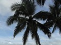 DSC00442