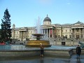 Trafalgar Square, where have all the pigeons gone?