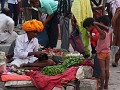 IMG 7187