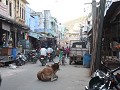 IMG 7141