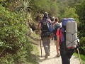 The gang ahead with their heavy back packs...we we