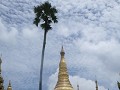 Shwedagon Paya, Rangoon