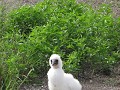 IMG 6290