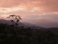 cr-0904240340-560-420