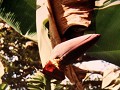 IMG 3688