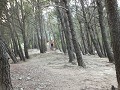 Familieworkout in het bos